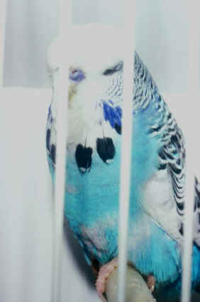 150-4.jpg (28006 bytes)